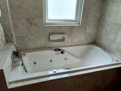 Chelsea Gardens (D10), Condominium #550118111